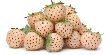 Pinberries