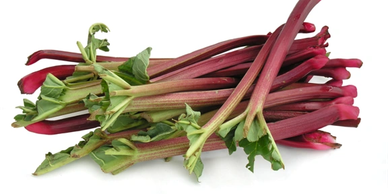 Rhubarb