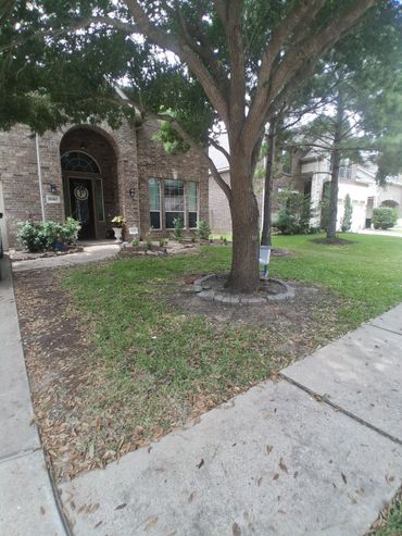 Front yard of a brick house with a large tree and a curved stone border.
