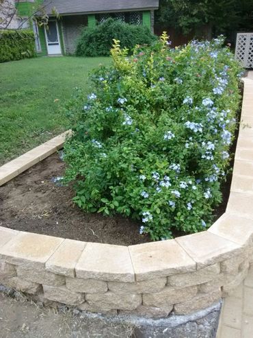 Windsor stone bed and planting
