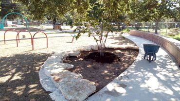 Rock and tree planting