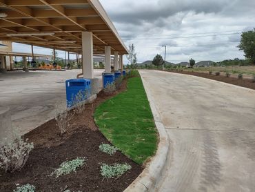sod,plants and mulch installation