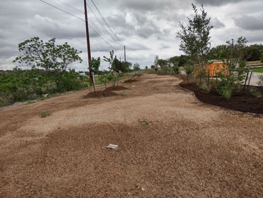 Tree installation 
lot grading