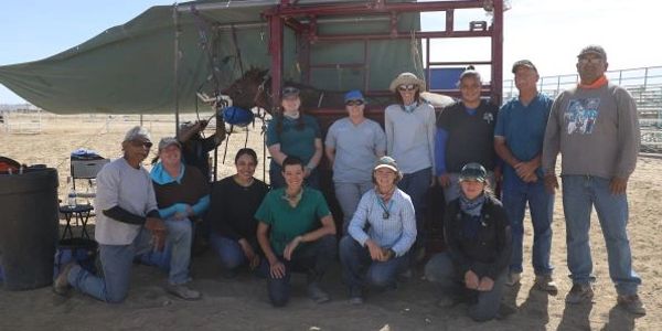 2022 ARQ Equine Services and Education Team