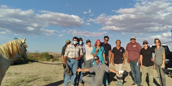 2021 Equine Services - Our Vet Team