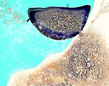 Marilyn Hill, Multi-disciplinary Artist, Digital Art, Drawing, Collage, IPad SHAPE DRAWINGS