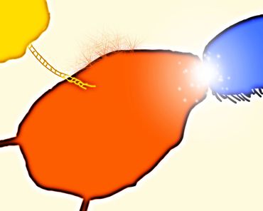 Marilyn Hill, Multi-disciplinary Artist, Digital Art, Drawing, Collage, IPad SHAPE DRAWINGS