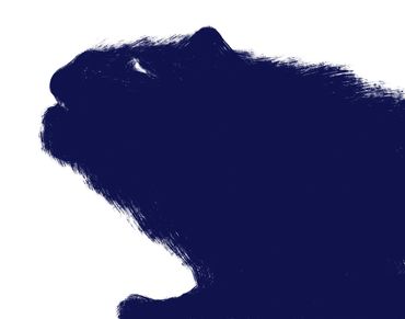 Marilyn Hill, Multi-disciplinary Artist, Digital Art, IPad Drawing,BEAST Creatures, Monsters