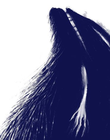 Marilyn Hill, Multi-disciplinary Artist, Digital Art, IPad Drawing,BEAST Creatures, Monsters