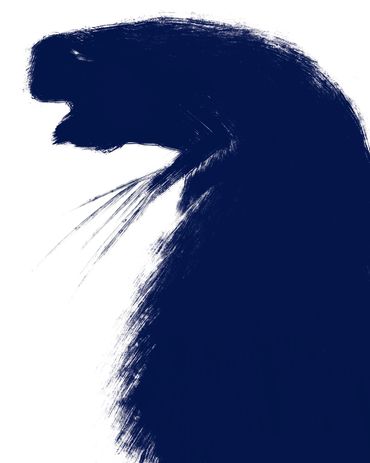 Marilyn Hill, Multi-disciplinary Artist, Digital Art, IPad Drawing,BEAST Creatures, Monsters