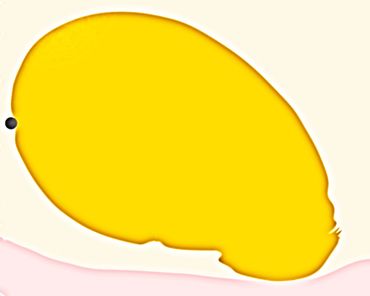 Marilyn Hill, Multi-disciplinary Artist, Digital Art, Drawing, Collage, IPad SHAPE DRAWINGS