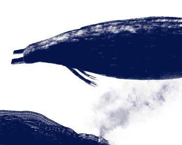 Marilyn Hill, Multi-disciplinary Artist, Digital Art, IPad Drawing,BEAST Creatures, Monsters