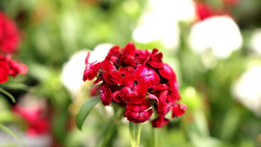 image111