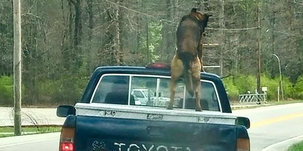 I took this picture and although not driving fast I had to stop following them. It's just a matter of when.