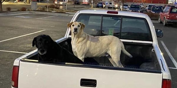 Taken by us in the store parking lot. Out enjoying the cool air ride.