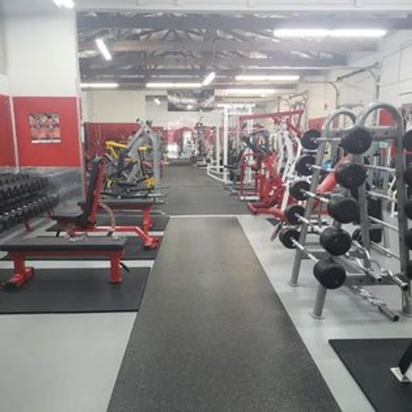 A clean, well-equipped gym with various weightlifting machines and free weights.