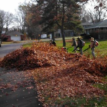 Mab Landworks in Wall Township N.J. does fall clean ups and spring clean ups