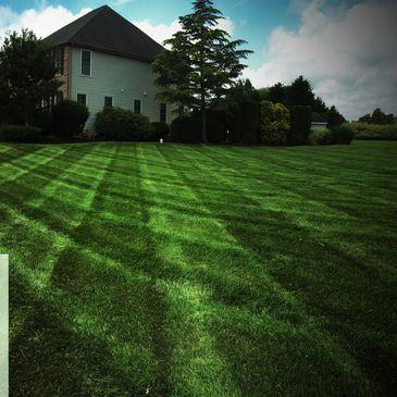 Mab Landworks in Wall Township N.J. dose commercial lawn maintenance.