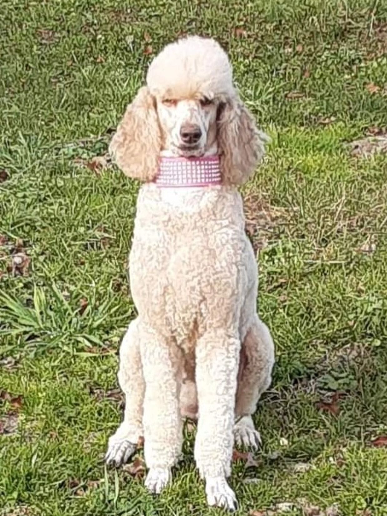 Fiona