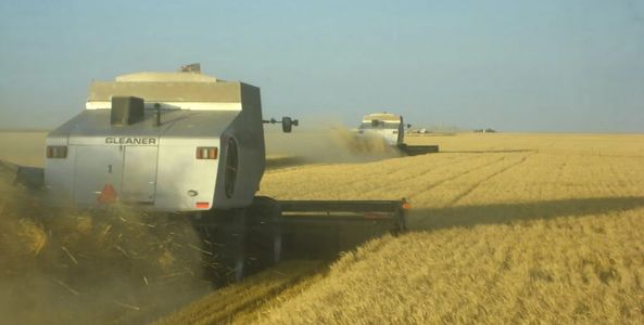 Custom harvest grain hauling trucking wheat corn barley milo corn soy beans kansas colorado nebraska
