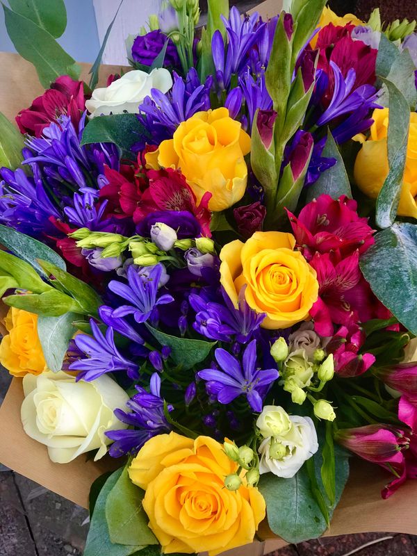 Vibrant colours