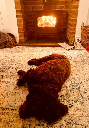 a cosy log burner