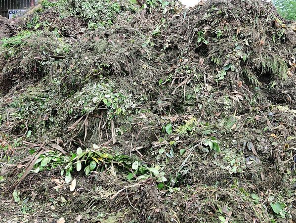 Construction waste removed Oakland