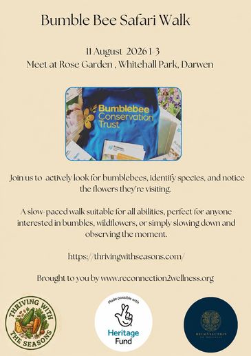 Community wellbeing lancashire