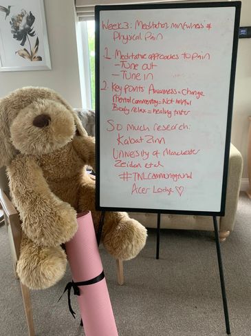 Pain management , chronic pain relief