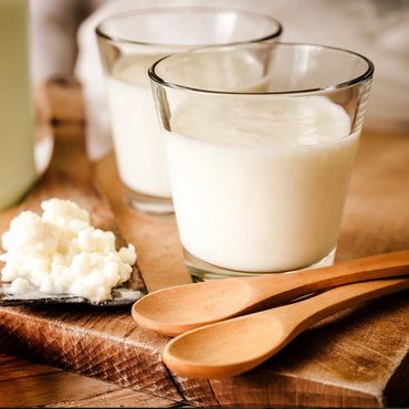 Kefir con los bulgaros de leche