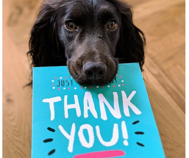 Senior and Military pet discount.