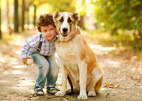 Boy and his dog taking a walk in nature
