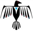 Thunderbird Strategic LLC