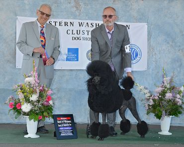 Two men with a groomed black poodle at a dog show award ceremony.