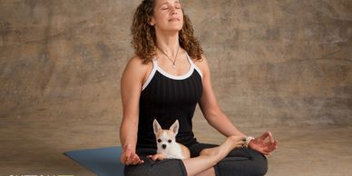 Dog yoga meditation