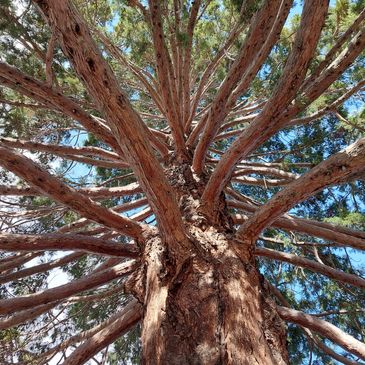 You can grow and move upward.