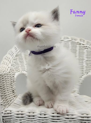 Fanny
Female
DOB 10-30-25