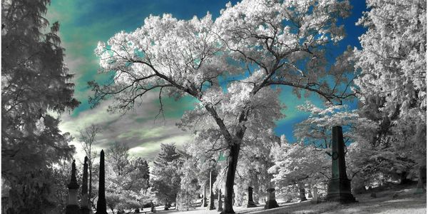 As one example of John's art, we're sharing this infrared scene captured from the Cincinnati area as
