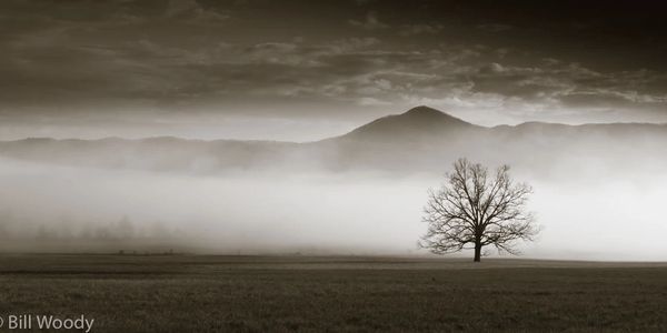 Cades Cove by Bill Woody