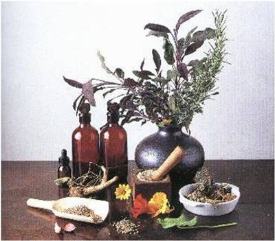 Herbs in Jurak Classic Whole Body Tonic - JC Tonic