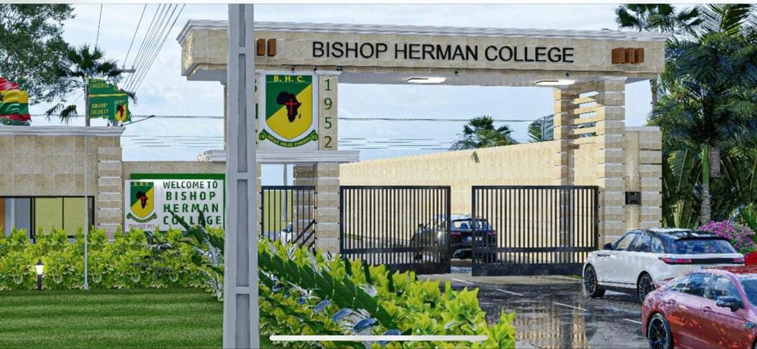 Rendering of proposed BHC campus area. Project sponsor; BHOBU-NA.ORG