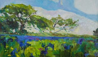 "Willow City Garden" Original 24x36 inch Oil Painting by Colin Turner $1995 Plus shipping