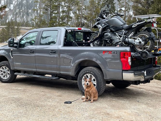 George, my Red Heeler rides on the back of my motorcycle, and my motorcycle loaded on my hydraulic l