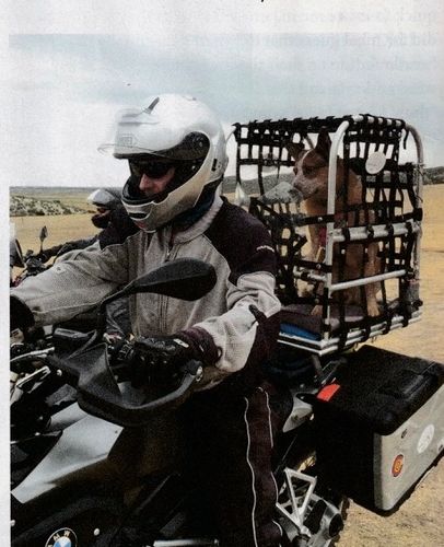 Picture of author and his Australian cattle dog George motorcycling training