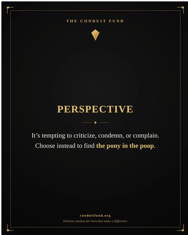 Perspective: It's tempting to criticize, condemn, or complain. Choose instead to find the pony in th
