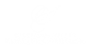 Success University