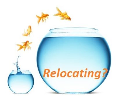 moving business new location cable telephone system voice data video paging telco update expand VoIP