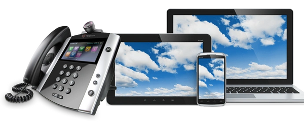business with remote workers, multiple locations across geographic regions,    hosted phone service.