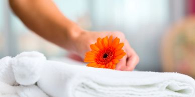 Meisel Holdings Managed Services Hotel Management Human Resources