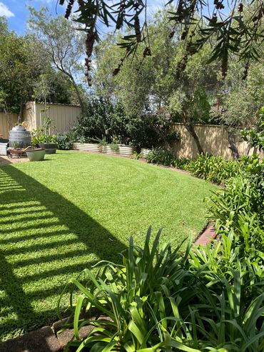 A Horsley Garden has come to life on a ongoing maintenance program